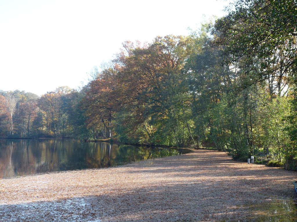 Gite Des Etangs De Saint Bale Διαμέρισμα Vrigne-aux-Bois Εξωτερικό φωτογραφία