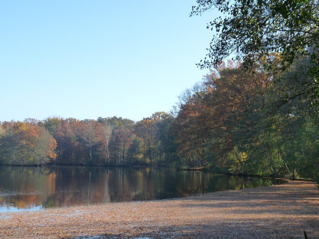 Gite Des Etangs De Saint Bale Διαμέρισμα Vrigne-aux-Bois Εξωτερικό φωτογραφία